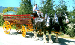 Experience the magic of a horse-drawn carriage ride during the Tiburon Holiday Festival on Dec. 5, 2015.
