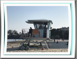 California Living ® spotlights Santa Cruz in new "California Beach Towns" series.
